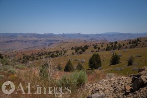 ALimages 2014 - looking down into the valley by John Day fossil beds.