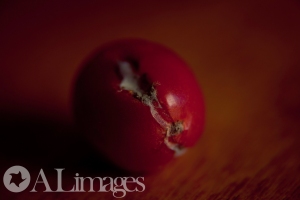 Kind of gross I know but still kind of cool - Rotten Tomato -  Macro photography - ALimages 2014