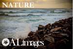 ALimages_Service 15_Nature