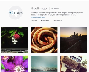 I use Instagram almost daily. It is a great way to capture what I am doing at the moment. 